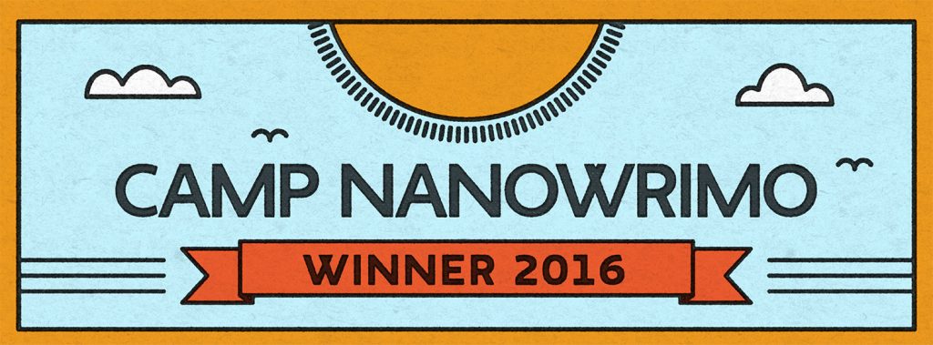 camp nano winner